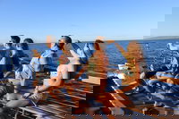 Maui Hi Accommodation Florida