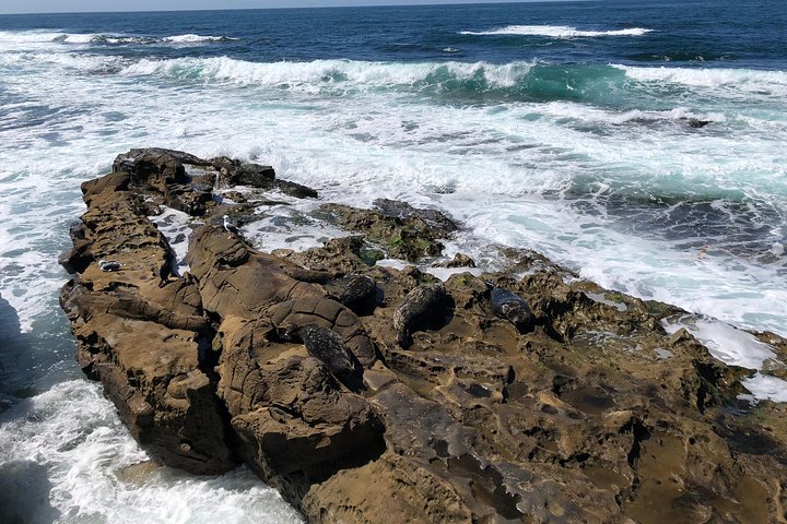 La Jolla Segway Tour - thumb 3