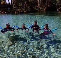 Small group Manatee snorkeling tour with in water guide - Accommodation Florida