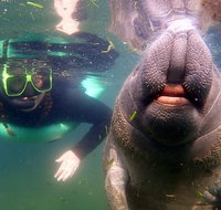 Private Manatee Tour - Accommodation Florida