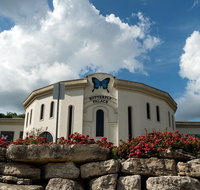 Branson Butterfly Palace Admission Ticket - Accommodation Florida