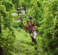 Zipline Canopy Tour in Branson - Accommodation Florida
