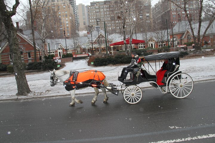 1 Hour Central Park Carriage Ride - thumb 1