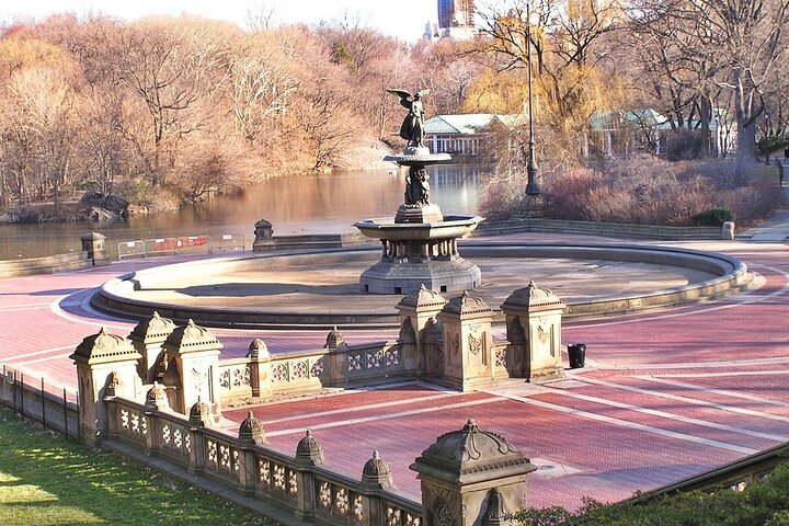 1 Hour Central Park Carriage Ride - thumb 2