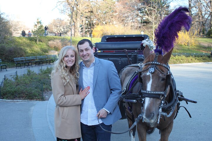 1 Hour Central Park Carriage Ride - thumb 3