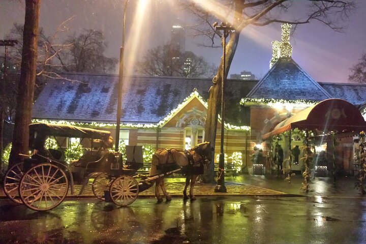 1 Hour Central Park Carriage Ride - thumb 5