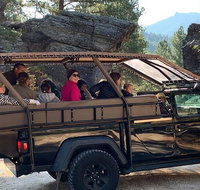 Jeep Bison Safari - Custer State Park - Accommodation Florida