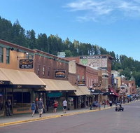 Private VIP Mt. Rushmore Deadwood and Devils Tower Day Tour - Accommodation Florida