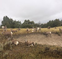 Private Badlands National Park Day Tour - Accommodation Florida