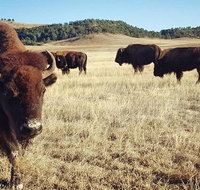 Private Mt Rushmore  Southern Black Hills Tour - Accommodation Florida