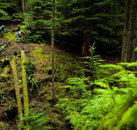 Sea Kayak and Mountain Bike Adventure near Olympic National Park - Accommodation Florida