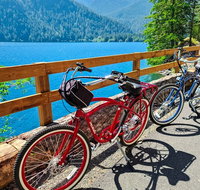 Electric Bike Rentals - Accommodation Florida