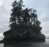 Olympic National Park Tour from Seattle - Accommodation Florida