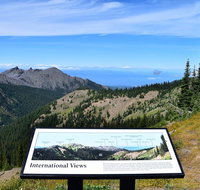 Hurricane Ridge Guided Tour in Olympic National Park - Accommodation Florida