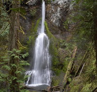Lake Crescent and Marymere Falls Guided Tour in Olympic National Park - Accommodation Florida