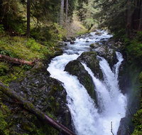 Sol Duc Falls Guided Tour in Olympic National Park - Accommodation Florida