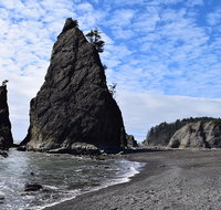 Hoh Rain Forest and Rialto Beach Guided Tour in Olympic National Park - Accommodation Florida