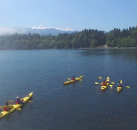 Half-Day Sea Kayaking Trip Near Olympic National Park - Accommodation Florida