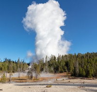Full-Day Private Safari of Yellowstone - Accommodation Florida