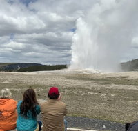 Yellowstone Open Air Tours by Cody Wyoming Adventures - Accommodation Florida