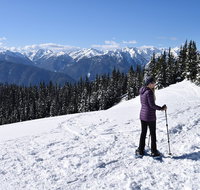 Hurricane Ridge Guided Snowshoe Tour in Olympic National Park - Accommodation Florida