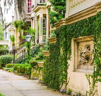 Savannah Land  Sea Combo City Sightseeing Trolley Tour with Riverboat Cruise - Accommodation Florida