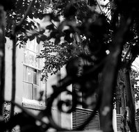 Genteel and Bard's Savannah Dark History and Ghost Walking Tour - Accommodation Florida